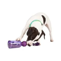 PetSafe Tug-a-Jug 7 PetSafe Tug-a-Jug -Bester Tierserien Laden petsafe tug a jug 216335 0500 none