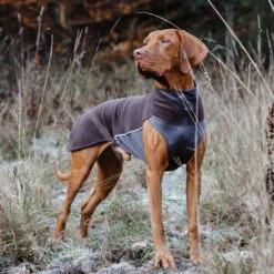 Pomppa Jumppa -Bester Tierserien Laden pomppa jumppa 190570 0500 none