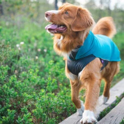 Pomppa Jumppa -Bester Tierserien Laden pomppa jumppa 190573 0500 none