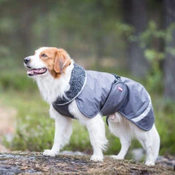 Pomppa Perus Hundejacke -Bester Tierserien Laden pomppa perus hondenjas 215732 0500 none