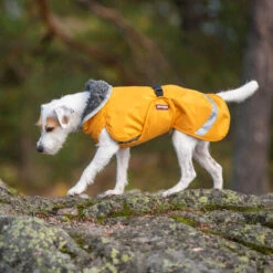Pomppa Perus Hundejacke -Bester Tierserien Laden pomppa perus hondenjas 215738 0500 none