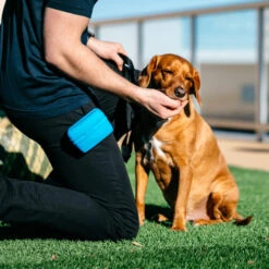 Popware Pooch Pouch Treatbag 9 Popware Pooch Pouch Treatbag -Bester Tierserien Laden popware pooch pouch treatbag 164698 0500 none