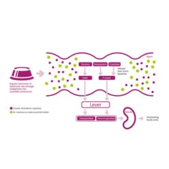 Porus One -Bester Tierserien Laden porus one 134455 0500 none