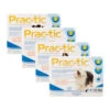 Prac-tic -Bester Tierserien Laden prac tic 98078 0500 none