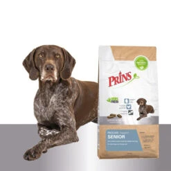 Prins ProCare Senior Support -Bester Tierserien Laden prins procare senior support 171634 0500 none