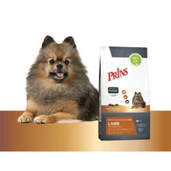 Prins Protection Croque Mini Lamb Hypoallergenic 8 Prins Protection Croque Mini Lamb Hypoallergenic -Bester Tierserien Laden prins protection croque mini lamb hypoallergenic 172102 0500 none