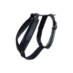 Kentucky Dog Harness Active Velvet -Bester Tierserien Laden prod 15744 218993 0500 none