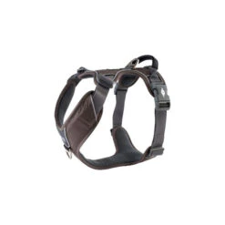 DOG Copenhagen Comfort Walk Pro Geschirr 25 DOG Copenhagen Comfort Walk Pro Geschirr -Bester Tierserien Laden prod 15938 220292 0500 none