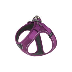 DOG Copenhagen Comfort Walk Go Geschirr -Bester Tierserien Laden prod 15940 220323 0500 none