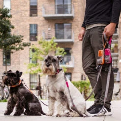 DOG Copenhagen Urban Trail Leine 16 DOG Copenhagen Urban Trail Leine -Bester Tierserien Laden prod 15941 220339 0500 none