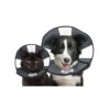 ZenPet Zen Collar -Bester Tierserien Laden prod 5332 89019 0500 none