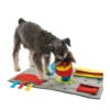 Buster Activity Mat 2 Buster Activity Mat -Bester Tierserien Laden product buster activity mat none 4 1470310734 73171