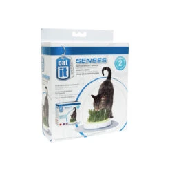 Catit Senses Katzengrassamenset -Bester Tierserien Laden product catit senses grass garden none 4 1465980441 69891