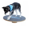 FitPAWS Wobble Board 2 FitPAWS Wobble Board -Bester Tierserien Laden product fitpaws wobble board none 4 1470905070 76051