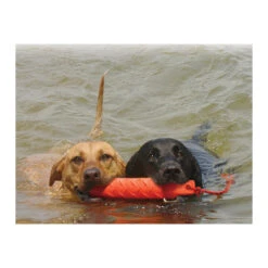 KONG Training Dummy -Bester Tierserien Laden product kong training dummy none 4 1469627104 71971