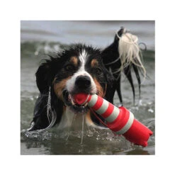 Rogz Leuchtturm 5 Rogz Leuchtturm -Bester Tierserien Laden product rogz lighthouse none 4 1485526267 82936