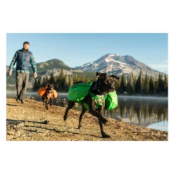 Ruffwear Approach Pack -Bester Tierserien Laden product ruffwear approach pack none 4 1489677652 84736