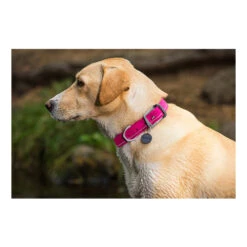 Ruffwear Headwater Collar 7 Ruffwear Headwater Collar -Bester Tierserien Laden product ruffwear headwater collar none 4 1487775433 83755