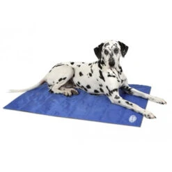 Scruffs Cooling Mat 11 Scruffs Cooling Mat -Bester Tierserien Laden product scruffs cooling mat none 4 1472200004 76951