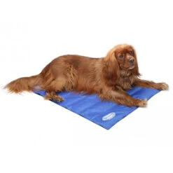 Scruffs Cooling Mat 10 Scruffs Cooling Mat -Bester Tierserien Laden product scruffs cooling mat none 4 1472200005 76954