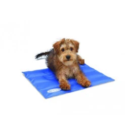 Scruffs Cooling Mat 9 Scruffs Cooling Mat -Bester Tierserien Laden product scruffs cooling mat none 4 1472200006 76957