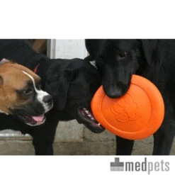 Zogoflex Zisc - Flying Disc -Bester Tierserien Laden product zogoflex zisc flying disc medpets 4 1403102255 8220