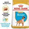 Royal Canin Boxer Puppy - Hundefutter 1 Royal Canin Boxer Puppy - Hundefutter -Bester Tierserien Laden royal canin boxer puppy hondenvoer 140465 0500 none
