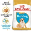 Royal Canin Bulldog Puppy - Hundefutter -Bester Tierserien Laden royal canin bulldog puppy hondenvoer 137848 0500 none