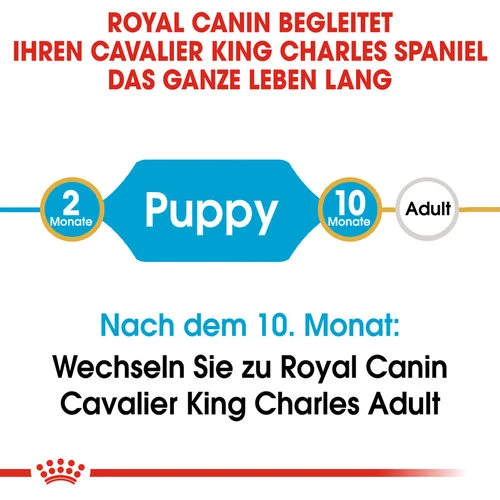 Royal Canin Cavalier King Charles Puppy - Hundefutter 8 Royal Canin Cavalier King Charles Puppy - Hundefutter – Bild 6