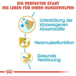 Royal Canin Cavalier King Charles Puppy - Hundefutter 12 Royal Canin Cavalier King Charles Puppy - Hundefutter -Bester Tierserien Laden royal canin cavalier king charles puppy hondenvoer 137923 0500 none