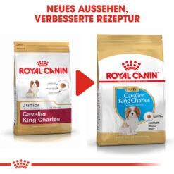 Royal Canin Cavalier King Charles Puppy - Hundefutter 11 Royal Canin Cavalier King Charles Puppy - Hundefutter -Bester Tierserien Laden royal canin cavalier king charles puppy hondenvoer 137950 0500 none