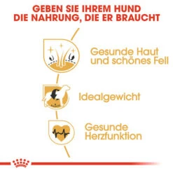 Royal Canin Cocker Adult - Hundefutter -Bester Tierserien Laden royal canin cocker adult hondenvoer 138163 0500 none