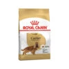 Royal Canin Cocker Adult - Hundefutter -Bester Tierserien Laden royal canin cocker adult hondenvoer 188079 0500 none