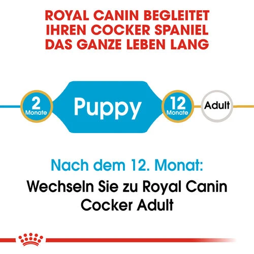 Royal Canin Cocker Puppy - Hundefutter 7 Royal Canin Cocker Puppy - Hundefutter – Bild 5