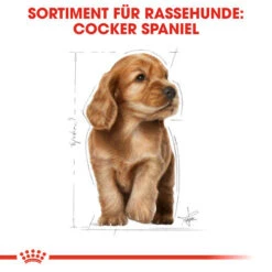 Royal Canin Cocker Puppy - Hundefutter 13 Royal Canin Cocker Puppy - Hundefutter -Bester Tierserien Laden royal canin cocker puppy hondenvoer 138226 0500 none