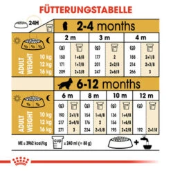 Royal Canin Cocker Puppy - Hundefutter 16 Royal Canin Cocker Puppy - Hundefutter -Bester Tierserien Laden royal canin cocker puppy hondenvoer 138235 0500 none