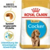 Royal Canin Cocker Puppy - Hundefutter -Bester Tierserien Laden royal canin cocker puppy hondenvoer 140501 0500 none