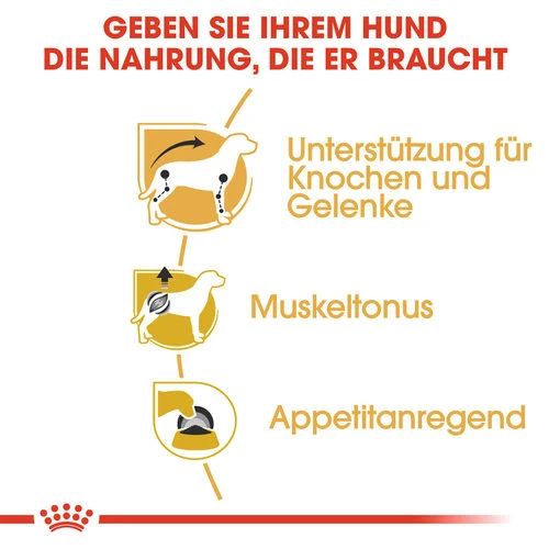 Royal Canin Dachshund Adult Wet - Hundefutter 4 Royal Canin Dachshund Adult Wet - Hundefutter – Bild 2