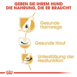 Royal Canin Dalmatian Adult - Hundefutter -Bester Tierserien Laden royal canin dalmatian adult hondenvoer 138454 0500 none