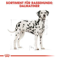 Royal Canin Dalmatian Adult - Hundefutter -Bester Tierserien Laden royal canin dalmatian adult hondenvoer 138499 0500 none