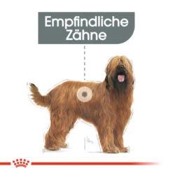Royal Canin Maxi Dental Care - Hundefutter -Bester Tierserien Laden royal canin dental care maxi hondenvoer 130862 0500 none