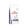 Royal Canin Dental Kleiner Hund -Bester Tierserien Laden royal canin dental kleine hond 217737 0500 none