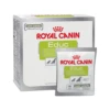 Royal Canin Educ Hund 1 Royal Canin Educ Hund -Bester Tierserien Laden royal canin educ hond 215813 0500 none