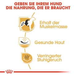 Royal Canin French Bulldog Adult - Hundefutter 10 Royal Canin French Bulldog Adult - Hundefutter -Bester Tierserien Laden royal canin french bulldog adult hondenvoer 138640 0500 none