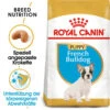 Royal Canin French Bulldog Puppy - Hundefutter 2 Royal Canin French Bulldog Puppy - Hundefutter -Bester Tierserien Laden royal canin french bulldog puppy hondenvoer 140549 0500 none