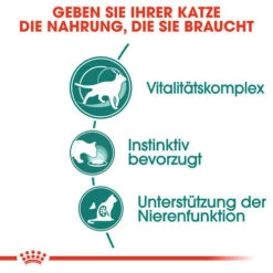 Royal Canin Instinctive 7+ In Gravy - Katzenfutter -Bester Tierserien Laden royal canin instinctive 7 in gravy kattenvoer 127868 0500 none