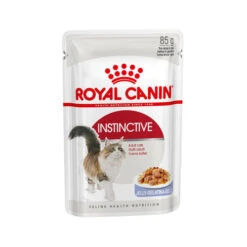 Royal Canin Instinctive In Gelee - Katzenfutter 11 Royal Canin Instinctive In Gelee - Katzenfutter -Bester Tierserien Laden royal canin instinctive in jelly 114393 0500 none