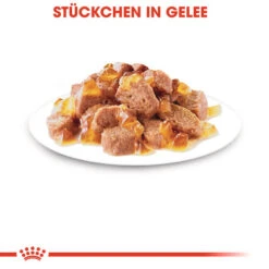 Royal Canin Instinctive In Gelee - Katzenfutter 13 Royal Canin Instinctive In Gelee - Katzenfutter -Bester Tierserien Laden royal canin instinctive in jelly kattenvoer 127915 0500 none