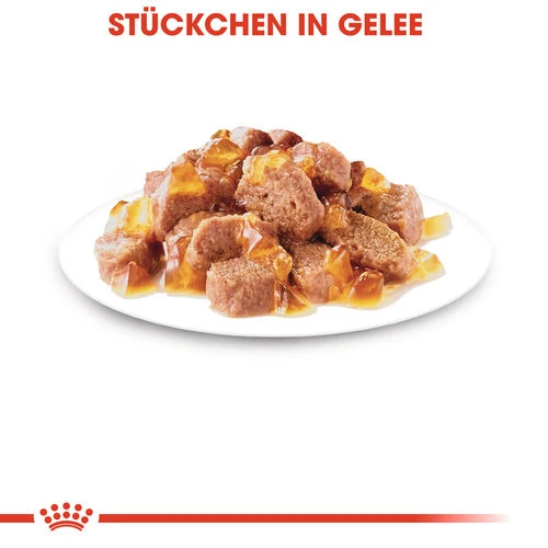 Royal Canin Instinctive In Gelee - Katzenfutter 7 Royal Canin Instinctive In Gelee - Katzenfutter – Bild 5
