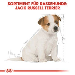 Royal Canin Jack Russell Terrier Puppy - Hundefutter -Bester Tierserien Laden royal canin jack russell terrier puppy hondenvoer 139318 0500 none